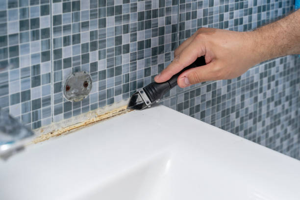 Best Toxic Mold Removal  in Spring, TX