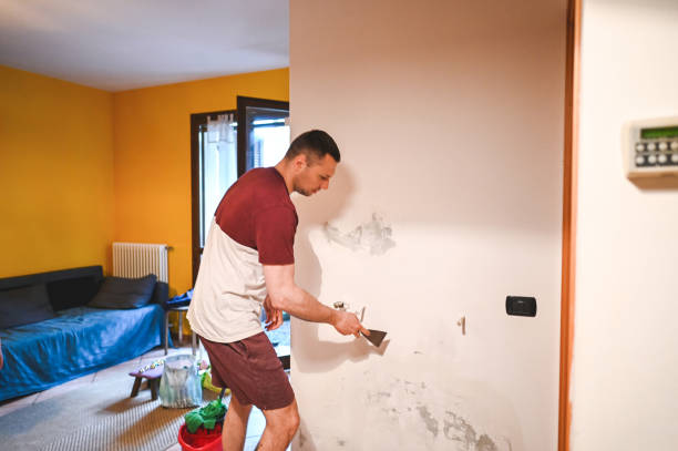 Best Toxic Mold Removal  in Spring, TX